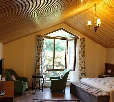 Yenice Goknar 3*