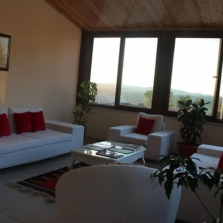 Yenice Goknar ホテル