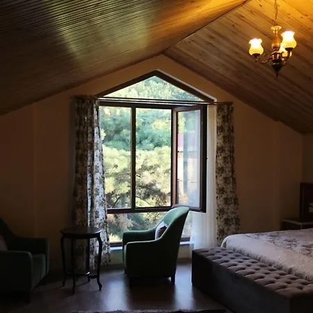 ホテル Yenice Goknar Yenice Köyü