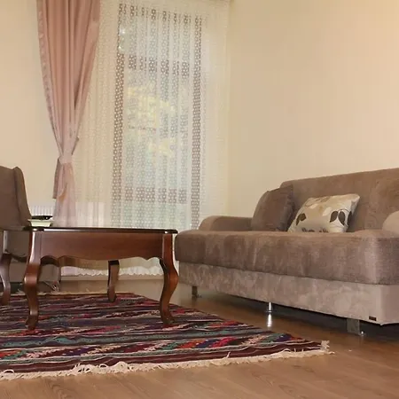 Yenice Goknar Hotel 3*