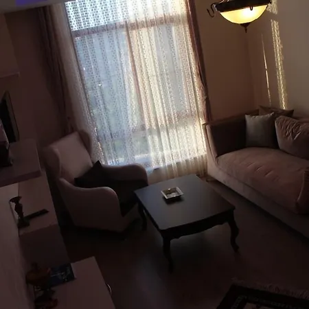 Yenice Goknar Hotel 3*