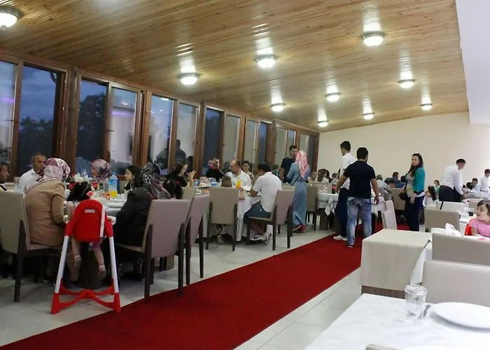 Yenice Goknar מלון 3*