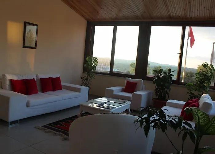 Yenice Goknar מלון