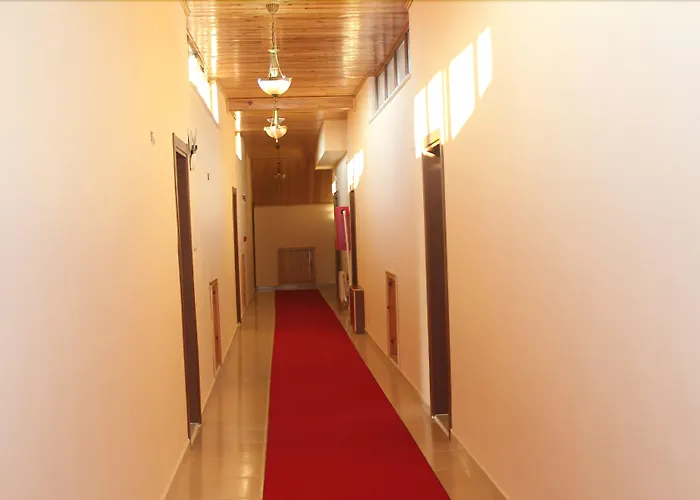 Yenice Goknar מלון