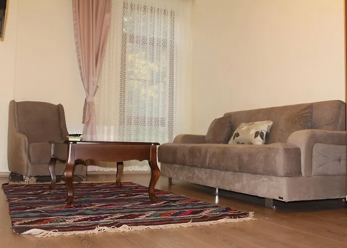 Yenice Goknar מלון 3*