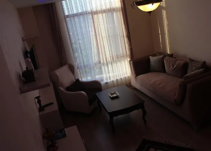 Yenice Goknar מלון 3*